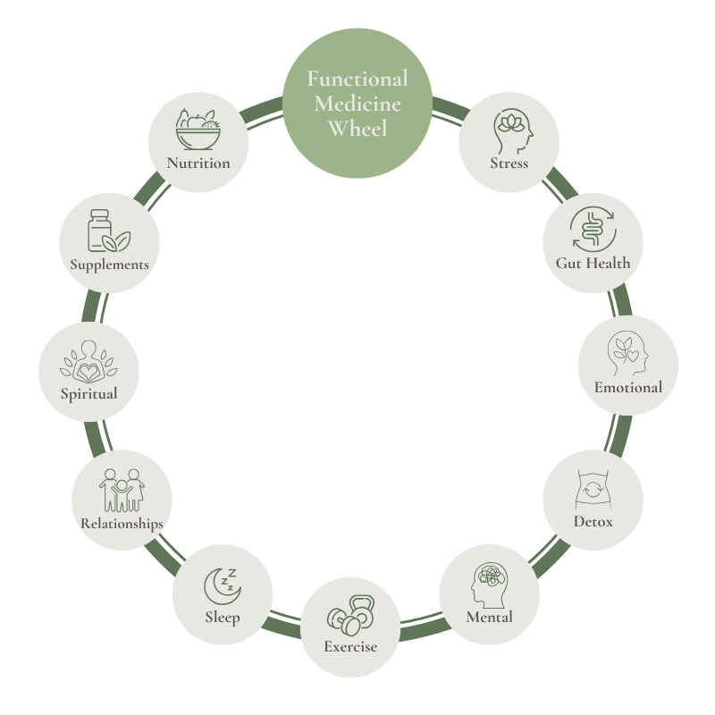 The Functional Medicine wheel